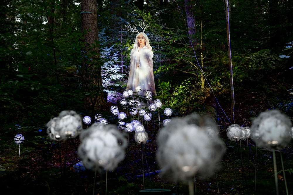 Enchanted Forest